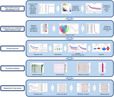 Metabolic reprogramming involves in transition of activated/resting CD4+ memory T cells and prognosis of gastric cancer